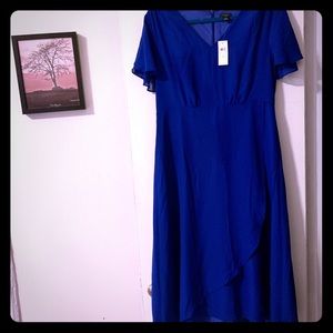 NWT Ann Taylor Cobalt blue dress